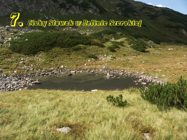 Cichy Stawek w Dolinie Szerokiej